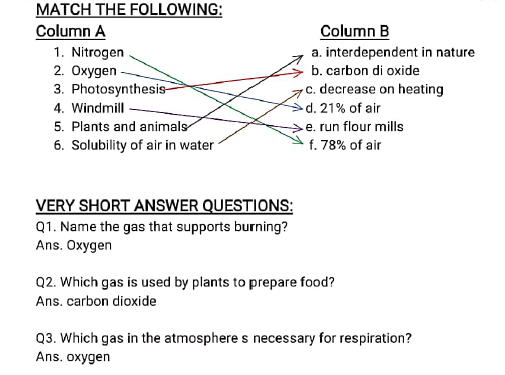 class6 science worksheet5 3