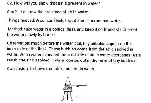 class6 science worksheet5 8