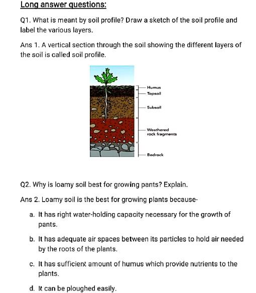 class7 science worksheet4 10