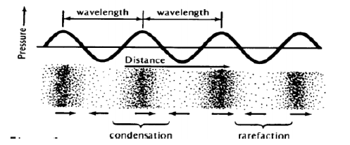 worksheet 3 class 9 2