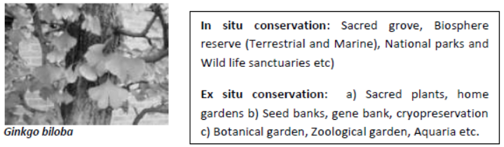 cbse-class-12-biology-vbqs-set-b