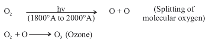 cbse-class-10-science-our-environment-notes-set-b