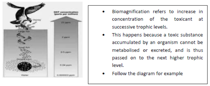 cbse-class-12-biology-vbqs-set-b