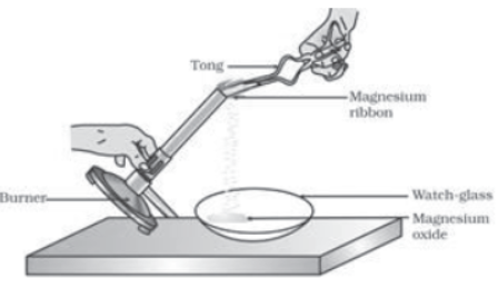 case-study-questions-class-10-science
