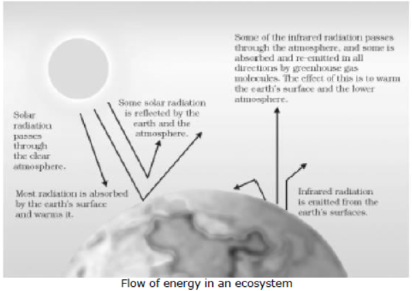 cbse-class-10 science-our-environment-notes-set-a