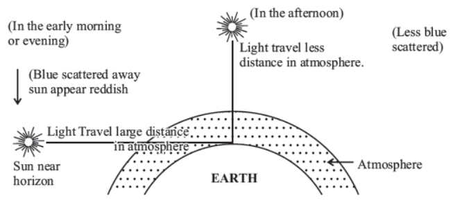 cbse-class-10-science-the-human-eye-and-the-colourful-world-notes-set-b