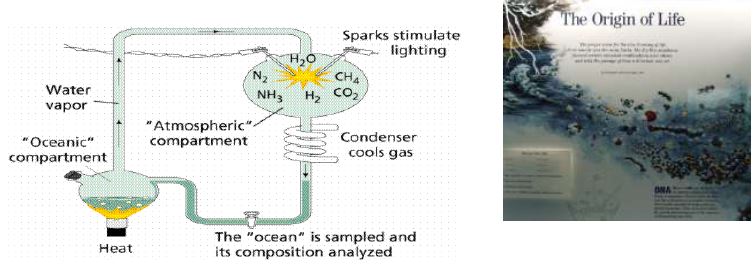 ""CBSE-Class-11-Geography-The-Origin-And-Evolution-Of-The-Earth-Notes-7