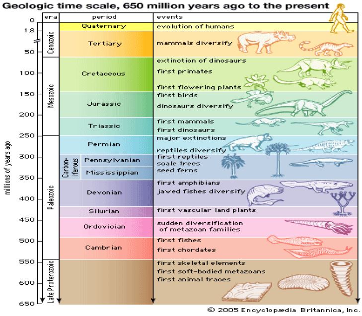 ""CBSE-Class-11-Geography-The-Origin-And-Evolution-Of-The-Earth-Notes-8
