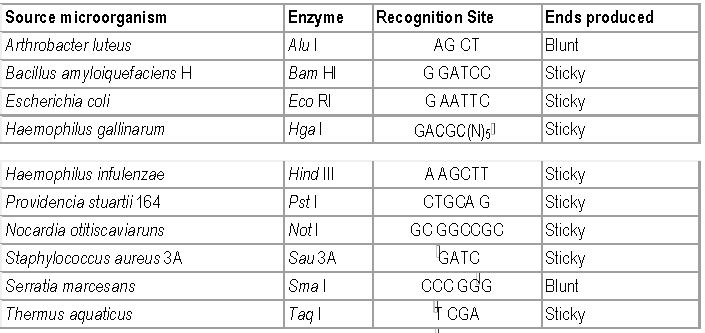 ""CBSE-Class-12-Biology-Biotechnology-Principles-And-Processes