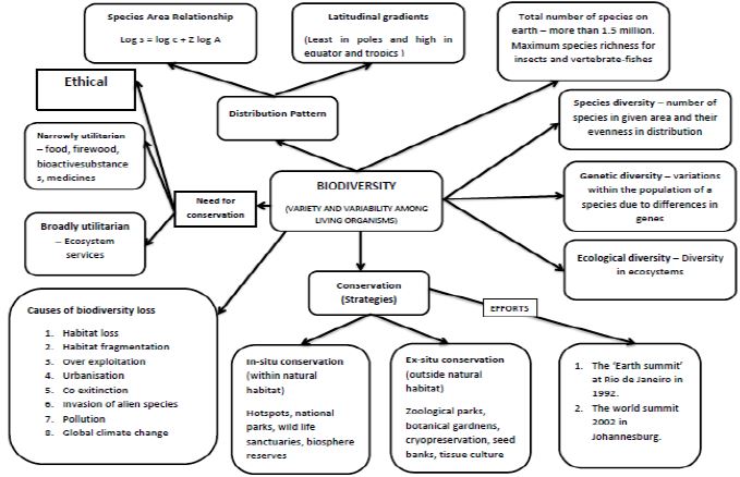 ""CBSE-Class-12-Biology-Concept-Maps-For-All-Chapters-13