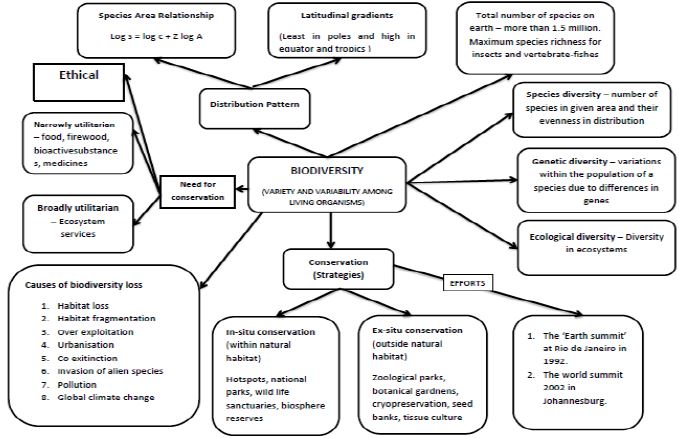 ""CBSE-Class-12-Biology-Concept-Maps-For-All-Chapters-13