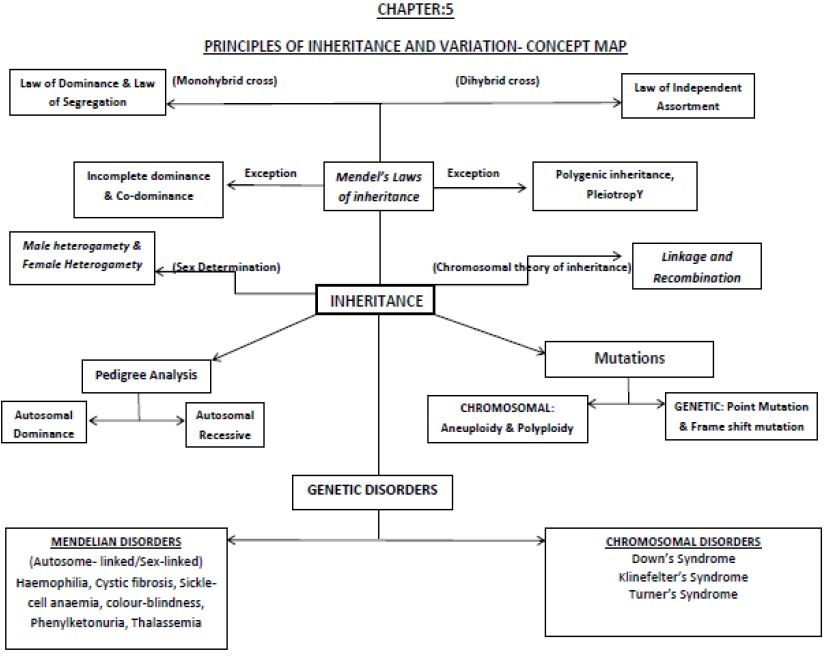 ""CBSE-Class-12-Biology-Concept-Maps-For-All-Chapters-2