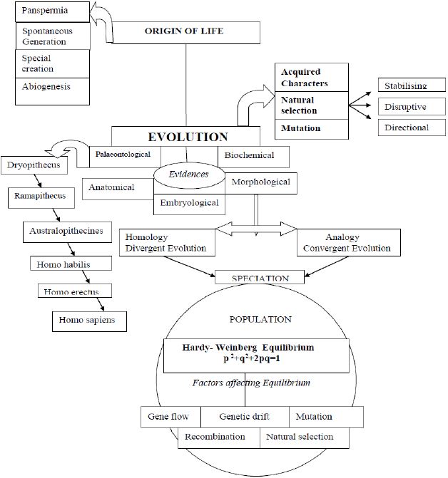 ""CBSE-Class-12-Biology-Concept-Maps-For-All-Chapters-5