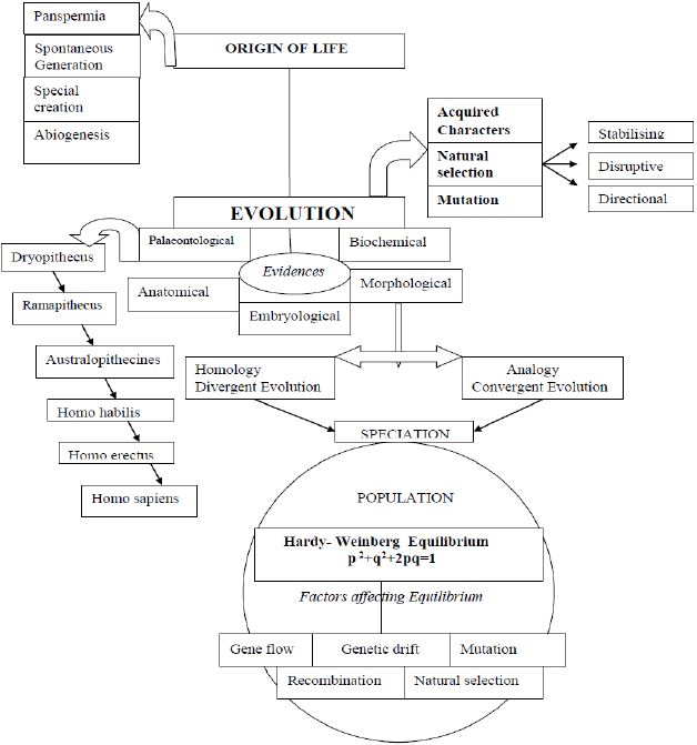 ""CBSE-Class-12-Biology-Concept-Maps-For-All-Chapters-5