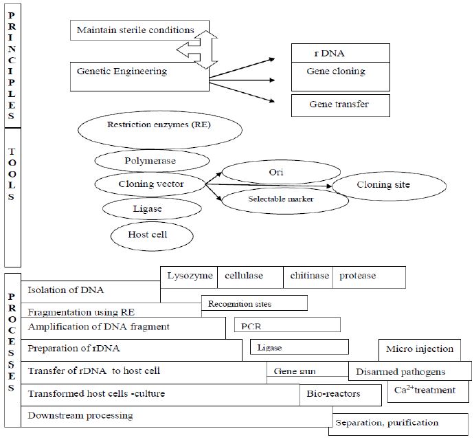 ""CBSE-Class-12-Biology-Concept-Maps-For-All-Chapters-9