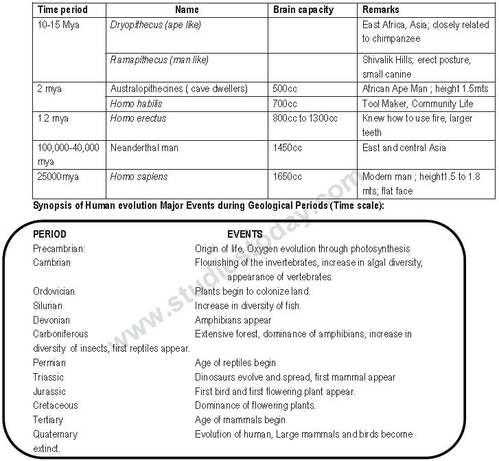 ""CBSE-Class-12-Biology-Evolution-1