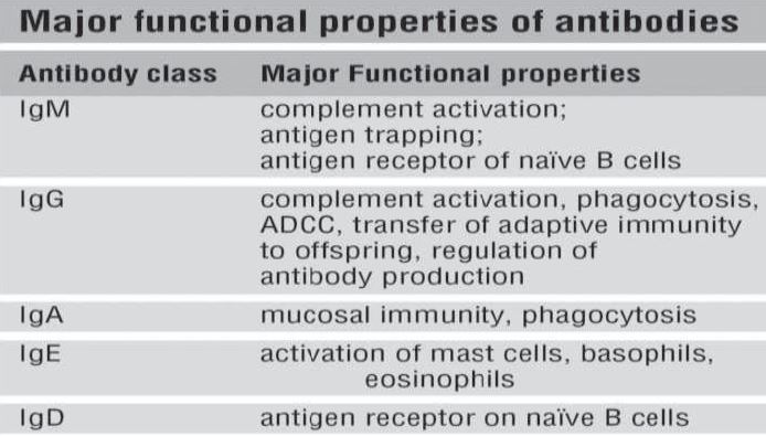 ""CBSE-Class-12-Biology-Human-Health-And-Disease-1