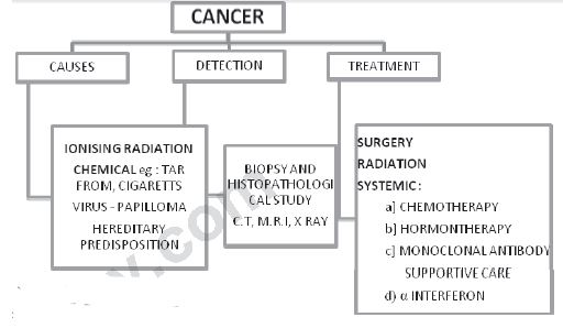 ""CBSE-Class-12-Biology-Human-Health-And-Disease-4