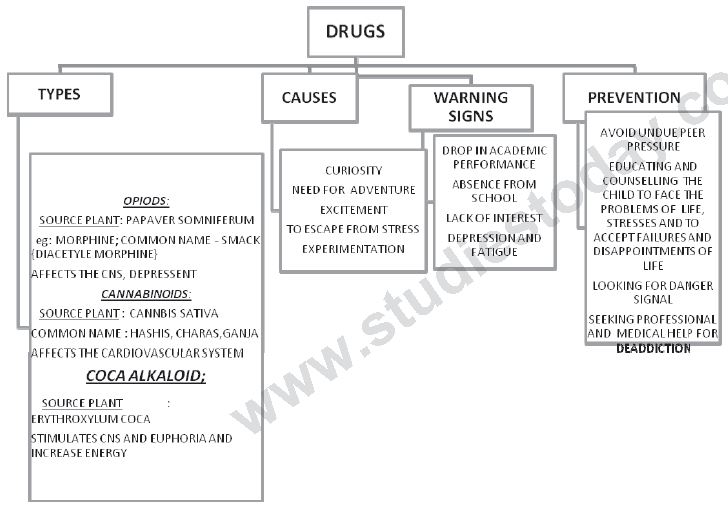 ""CBSE-Class-12-Biology-Human-Health-And-Disease-6