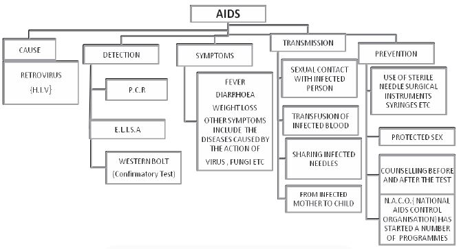 ""CBSE-Class-12-Biology-Human-Health-And-Disease-8