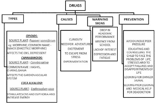 ""CBSE-Class-12-Biology-Human-Health-And-Disease-Minds-Map-2