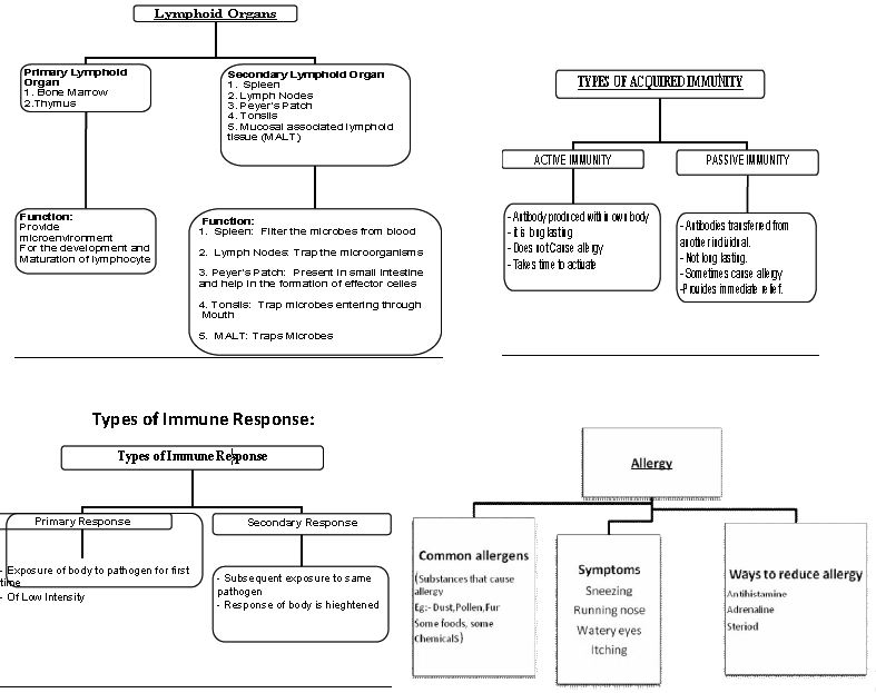 ""CBSE-Class-12-Biology-Human-Health-And-Disease-Minds-Map