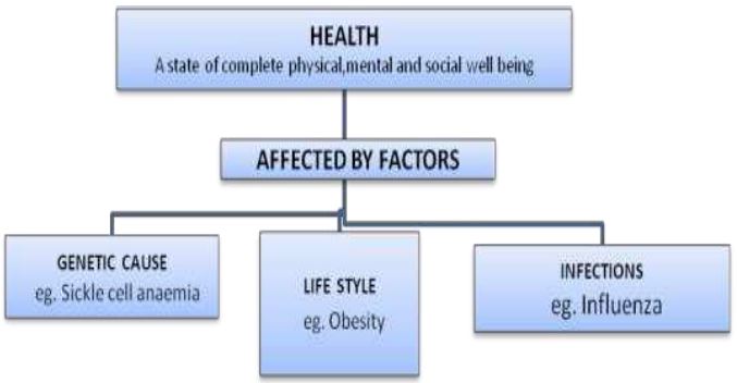 ""CBSE-Class-12-Biology-Human-Health-And-Disease