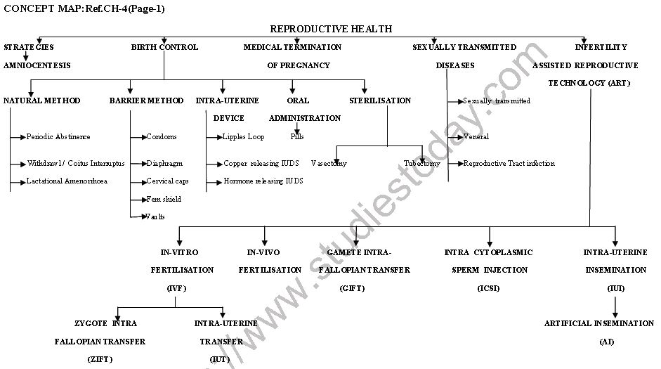 ""CBSE-Class-12-Biology-Human-Reproduction-Minds-Map-3