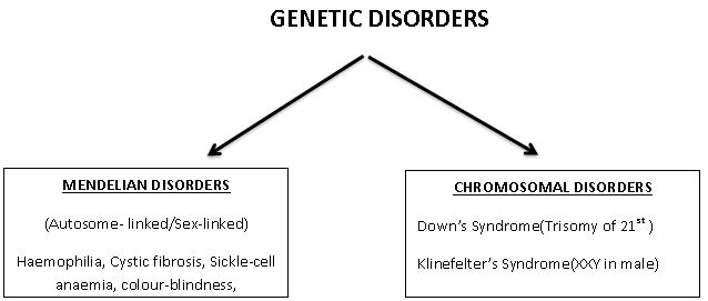 ""CBSE-Class-12-Biology-Principles-Of-Inheritance-And-Variation-2