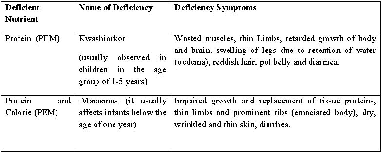 ""CBSE-Class-12-Biology-Reproduction-In-Organisms-4