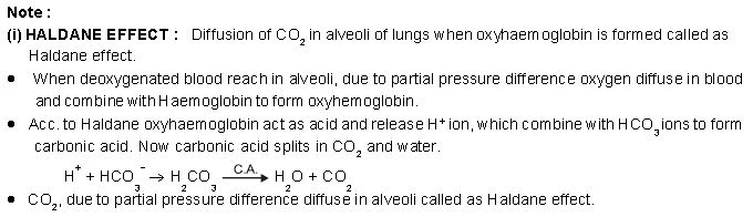 ""CBSE-Class-12-Biology-Respiration-12