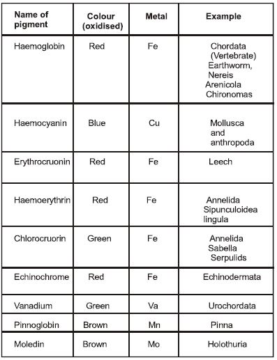 ""CBSE-Class-12-Biology-Respiration-14