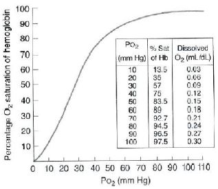 ""CBSE-Class-12-Biology-Respiration-9