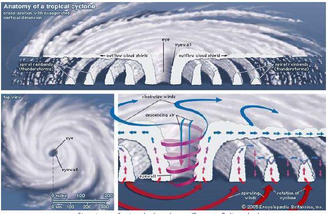 ""Class 11 Geography Atmospheric Circulation And Weather System_14