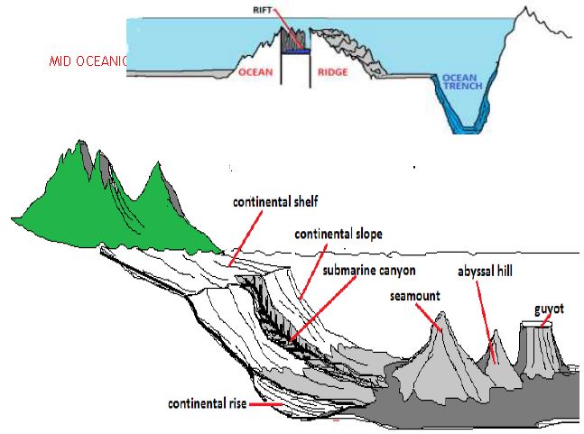 ""Class 11 Geography Distribution_Of_Oceans_And_Continents_2