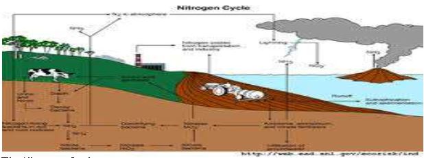 ""Class 11 Geography Life On Earth_6