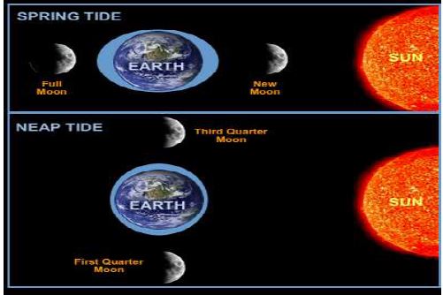 ""Class 11 Geography Movements Of Ocean Water_1