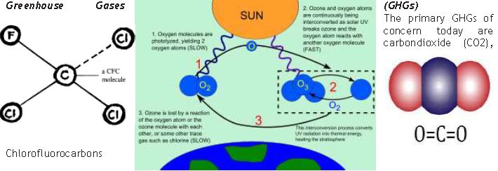 ""Class 11 Geography World Climate And Climate Change_14