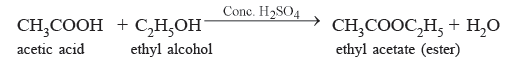 Class 10 Science Carbon and its Compounds