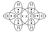 CBSE Class 10 Chemistry Carbon And Its Compound