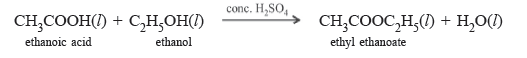 Class 10 Science Carbon and its Compounds