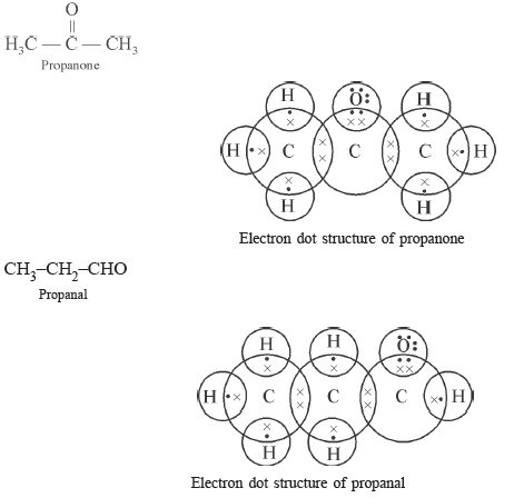 Class 10 Science Carbon and its Compounds