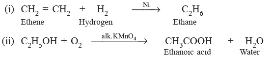 Class 10 Science Carbon and Its Compounds