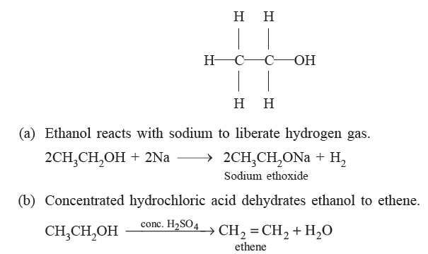 Class 10 Science Carbon and Its Compounds