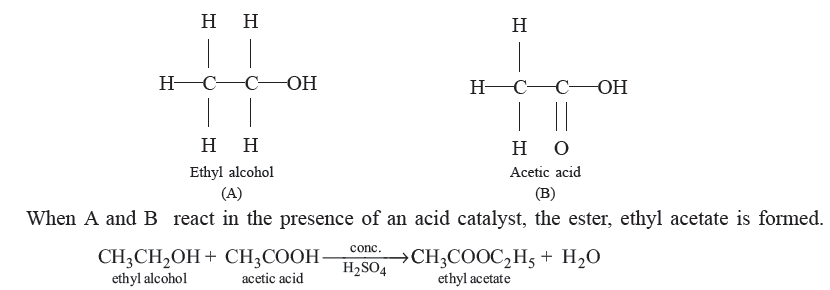 Class 10 Science Carbon and Its Compounds