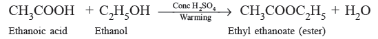 Class 10 Science Carbon and Its Compounds