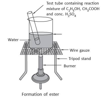 Class 10 Science Carbon and Its Compounds