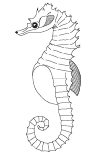 Class 11 Biology Animal Kingdom