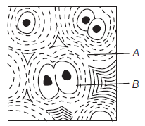 Class 11 Biology Structural Organisation In Animals