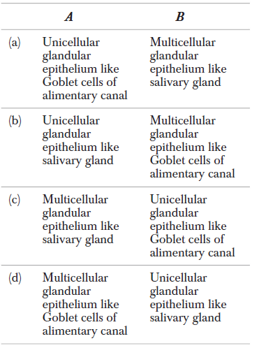 Class 11 Biology Structural Organisation In Animals